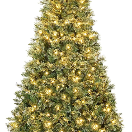 81tQYXRC5IL._AC_SL1500_.webp