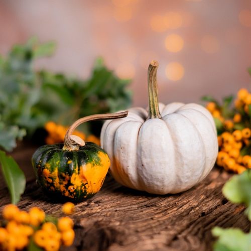pumpkins, vegetables, produce, harvest, organic, fresh, gourds, halloween, autumn, food, decoration, pumpkin season, still life, wooden table, berries, nature, leaves